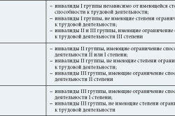 Виды инвалидности